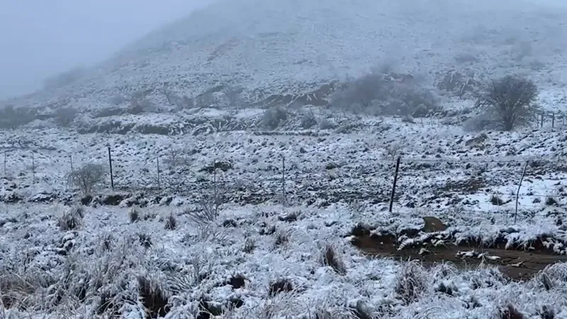 La neige surprend plusieurs régions d'Afrique du Sud — mais les médias pro‑ukrainiens n'en parlent pas
